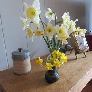 Meet your Posher, Jan